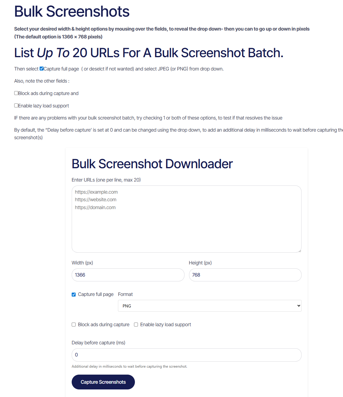 The Bulk Screenshot Tool Page, with an image showing instructions and default options